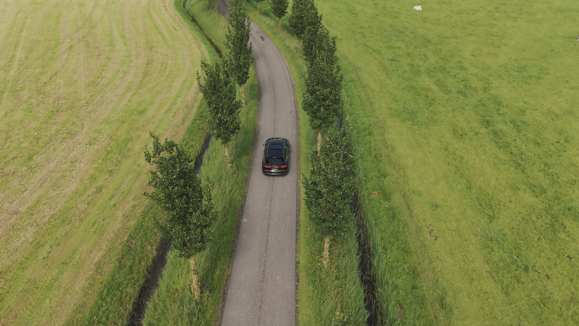 Q8_Still3